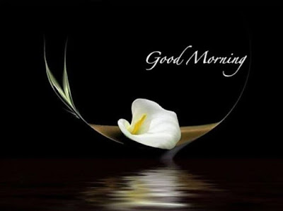 GOOD MORNING GOOD MORNING