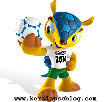 2014 FIFA World Cup Mascot