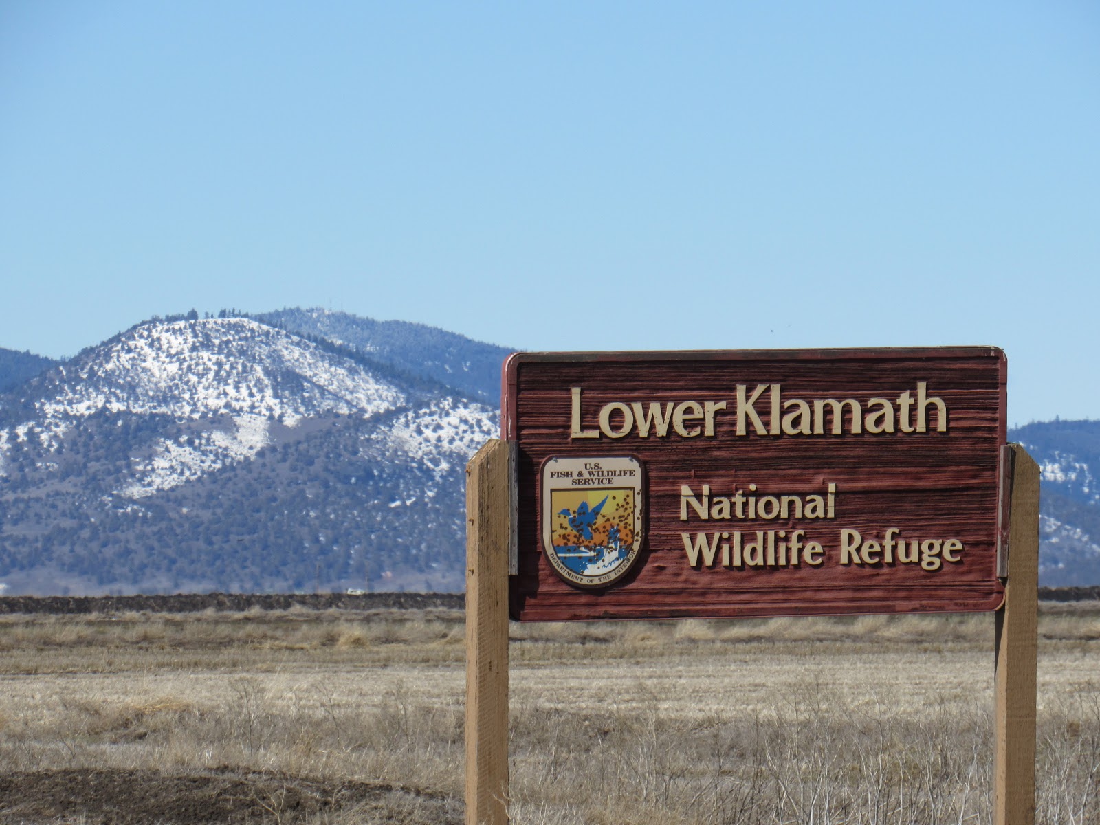 Vaughn the Road Again Lower Klamath National Wildlife Refuge ↔ Klamath