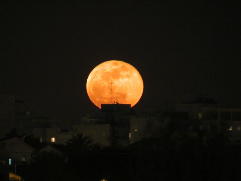 Почему сегодня луна оранжевая. Оранжевая Луна. Огромная оранжевая Луна. Оранжевый месяц. Восход оранжевой Луны.