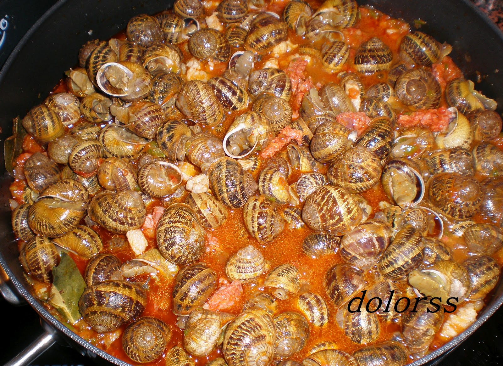 Blog de cuina de la dolorss: Caragols o caracoles a la cazuela con ...