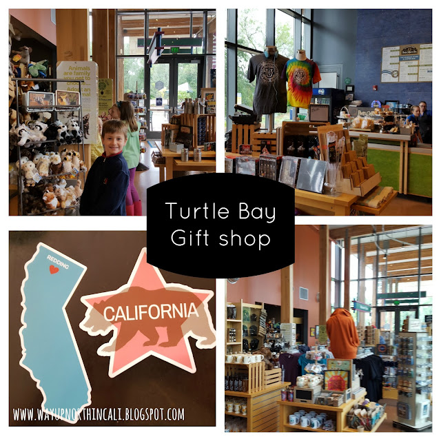A look at Turtle Bay Exploration Park (Redding, CA) through fresh eyes. www.wayupnorthincali.blogspot.com