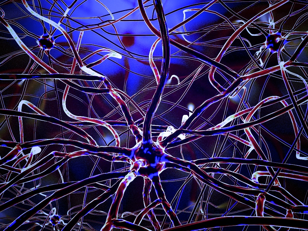 For the correct functioning of the galleries enable javascripts