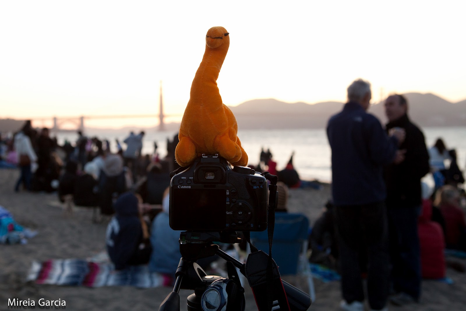 Mireia Garcia Foto Golden Gate Festival