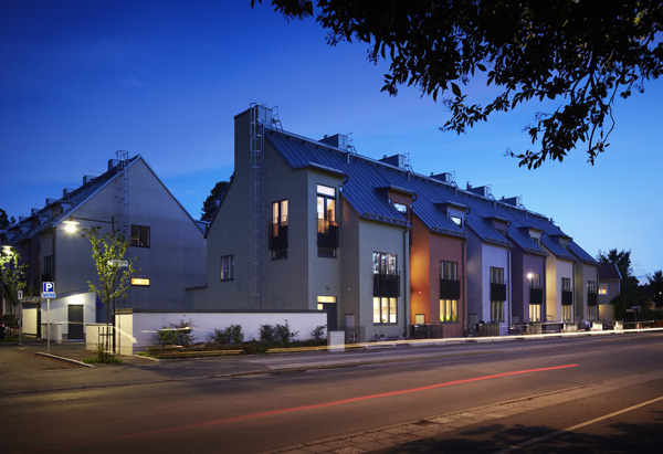 写真コンテストでファイナリストが明らかになり、選ばれた画像は驚くべきものでした