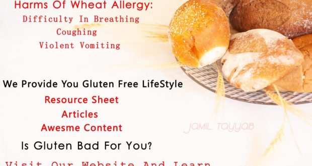 Gluten Intolerance With Wheat Gluten Intolerance With Wheat