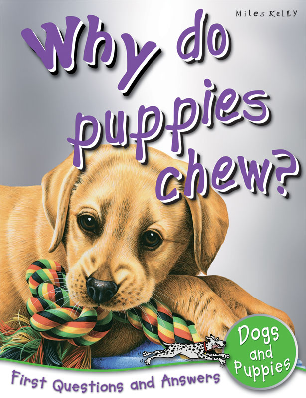Book Why Do Puppies Chew? NINOS SHOP