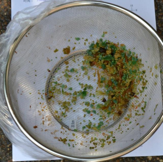 Scoliosis Relations of Liver & Gallbladder Flush with Scoliosis