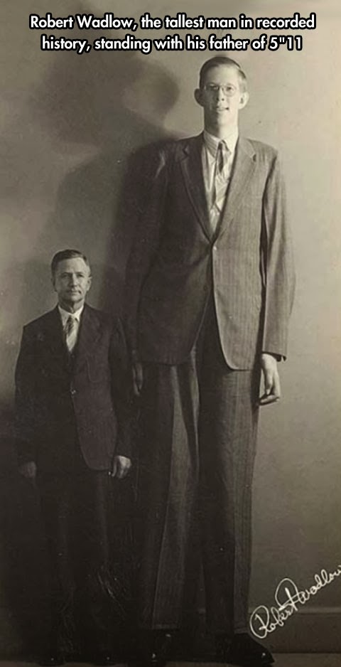 Cool stuff you can use.: Robert Wadlow: The World's Tallest Person in ...
