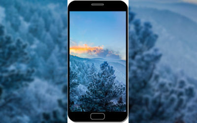 Forêt en Hiver avec Brouillard - Fond d'Écran en QHD pour Mobile
