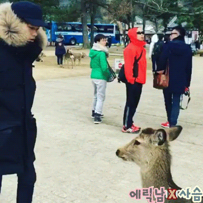 연예인한테 한번 얻어먹으려고 가식떠는거 걸림 ㄷㄷㄷ; | 인스티즈