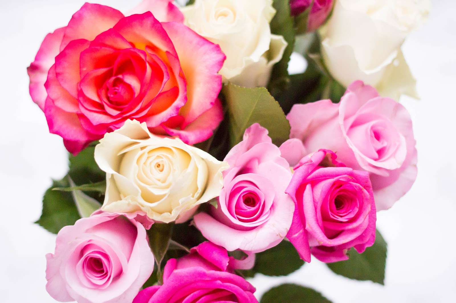 ©Katiewrites.co.uk Roses, Flowers, Feeling Overwhelmed, Katie Writes,