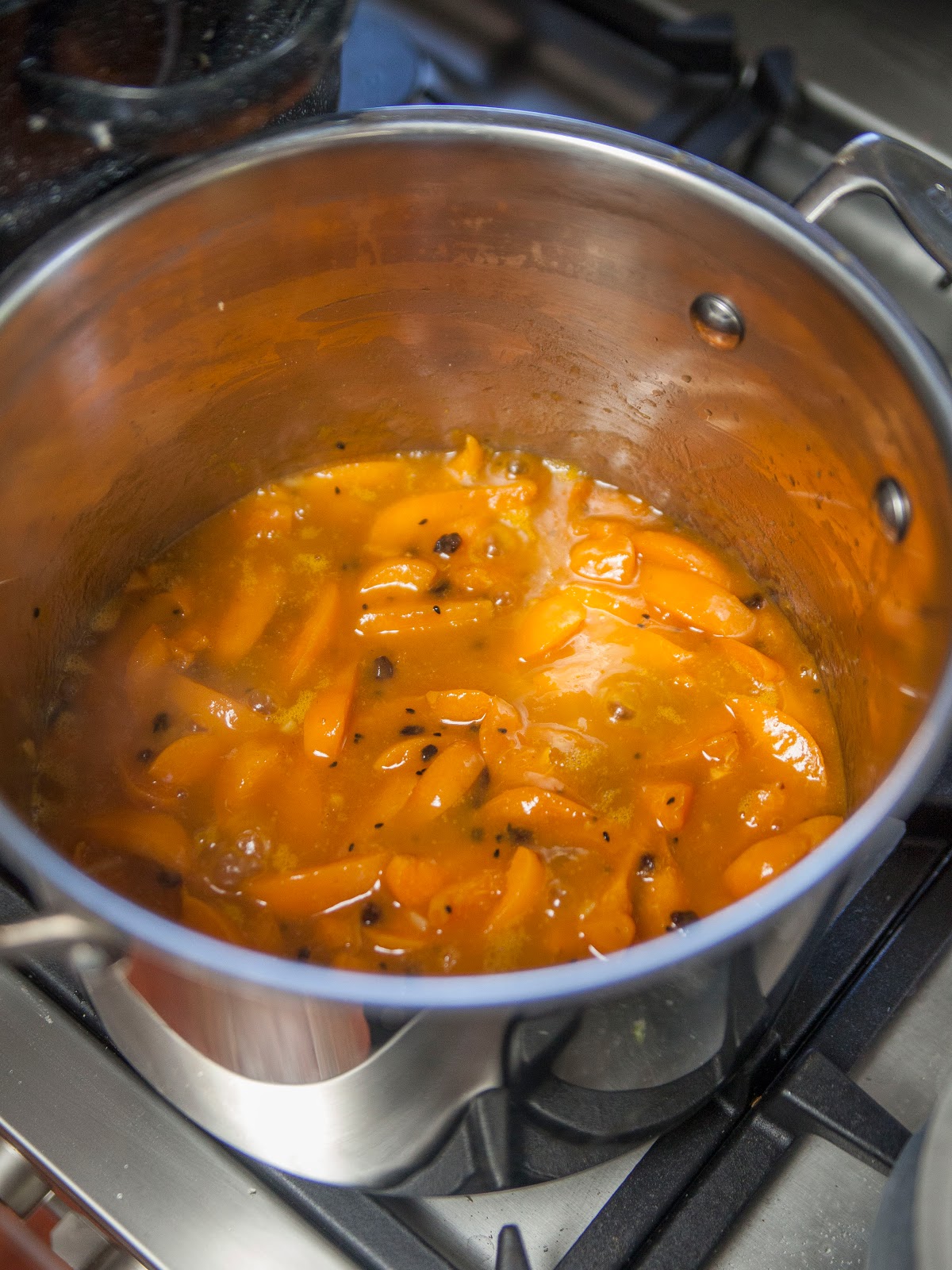 The Colors Of Indian Cooking Fresh or Dried, Making Apricot Chutney Is