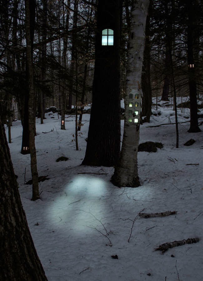 These%2BMagical%2BForest%2BPhotos%2BGive