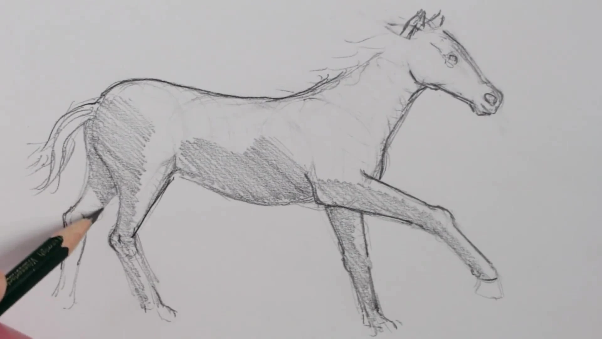 رسم حصان بالرصاص