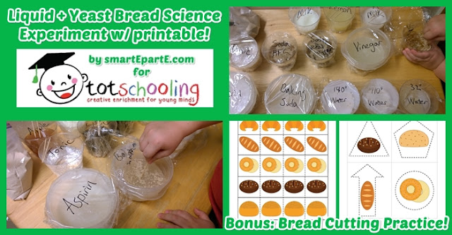 bread-science-cutting-practice.jpg