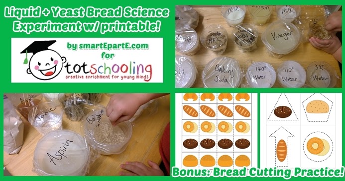 Bread Science Experiment + Free Printable Bread Cutting Pack