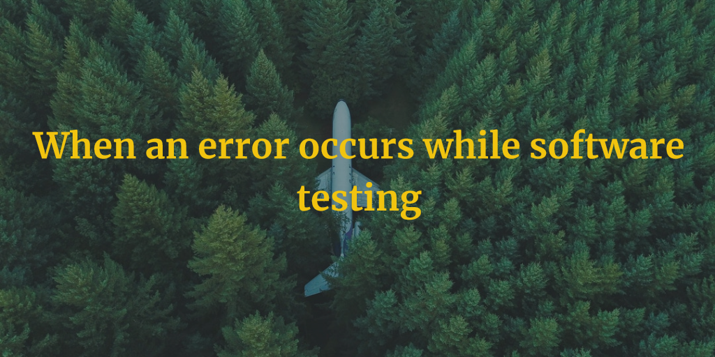 When an error occurs piece software testing