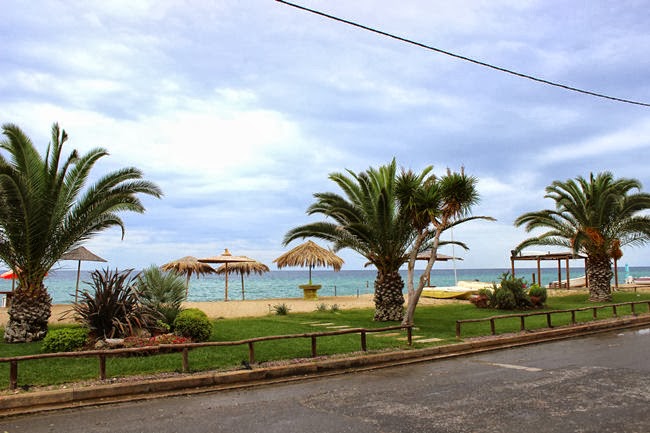 Nea Flogita palms and beach