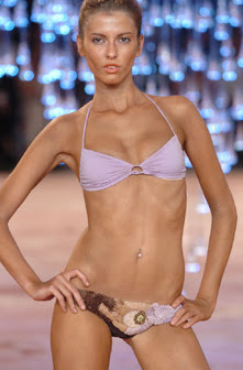 rosa cha swimwear