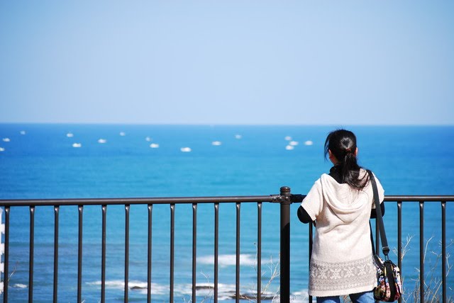 世界の自然の驚異 - アマゾン川 (ペルー、コロンビア、ブラジル)