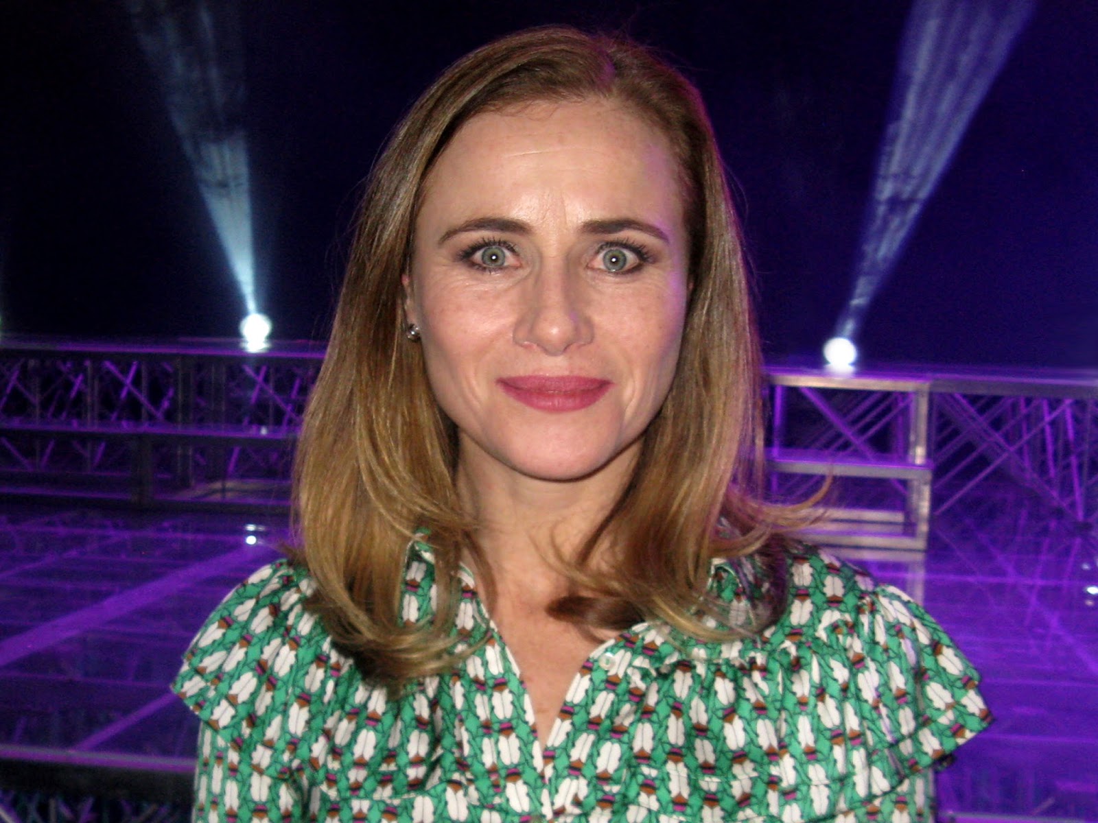 teleseries chilenas AMAYA FORCH