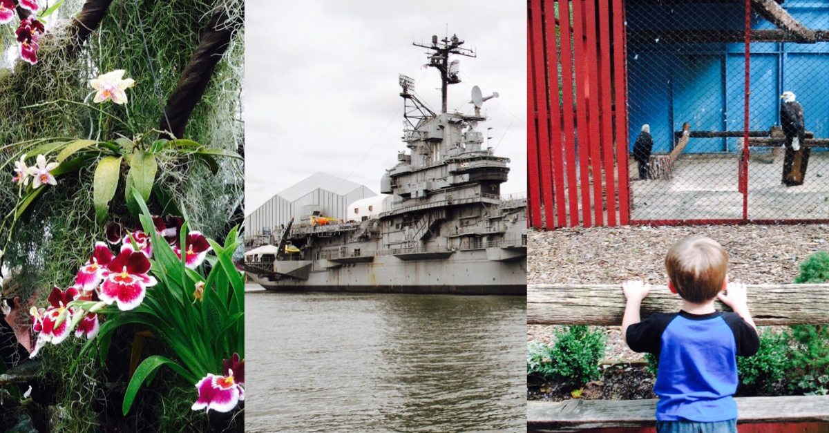 10 Fun Spring Day Trips in New Jersey (Pennsylvania and New York, too