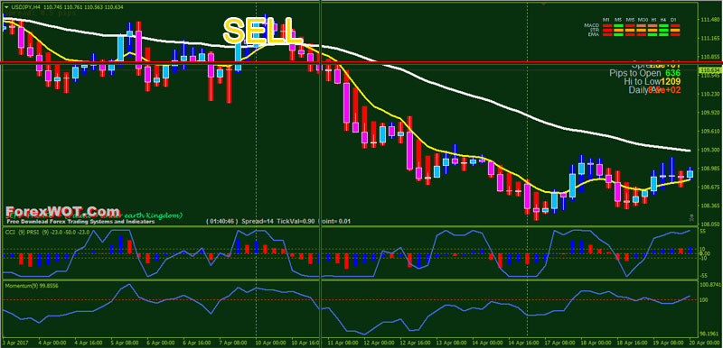 Forex bg