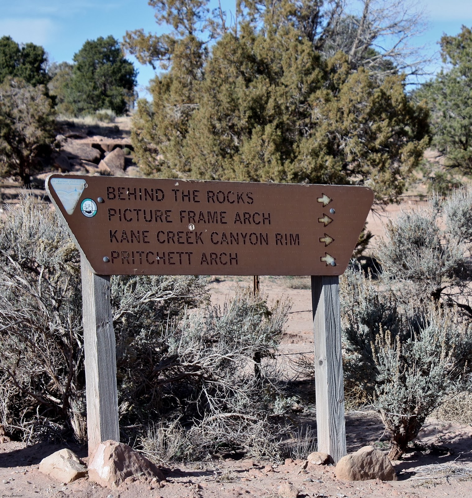 The Southwest Through Wide Brown Eyes The Lone Rock Road Behind the