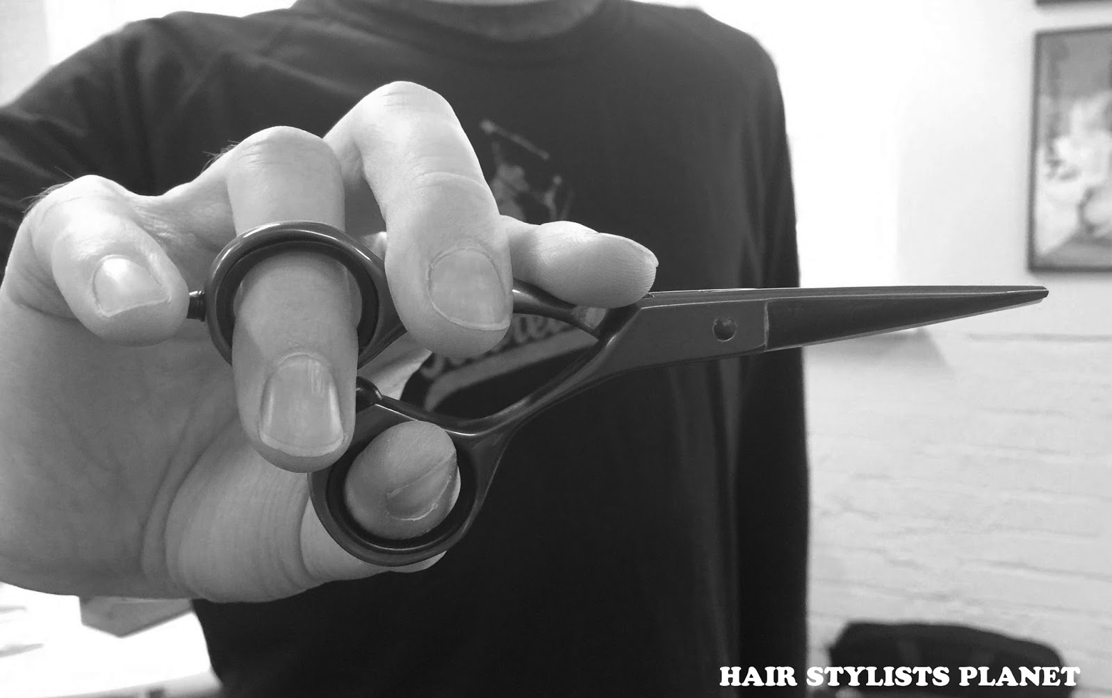 Holding Professional Haircutting Shears
