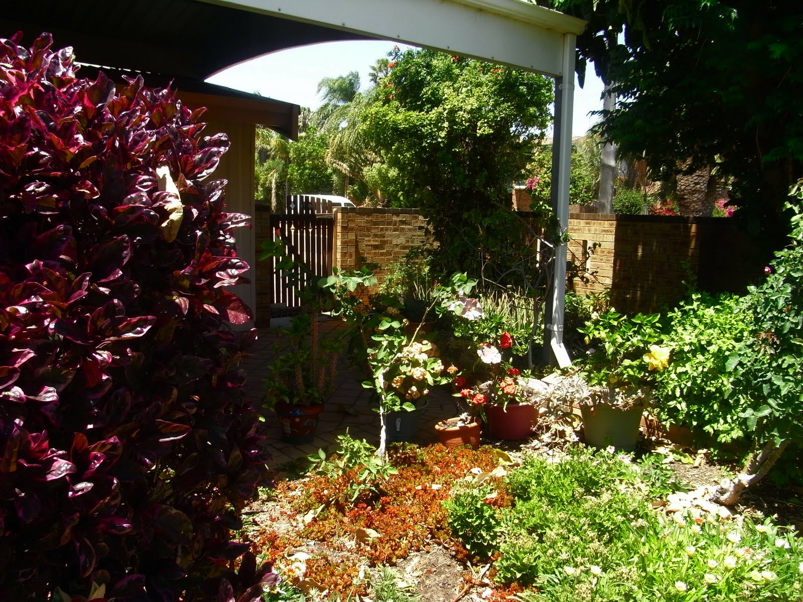 Garden of Life Nice garden up Kalbarri way, You should visit!