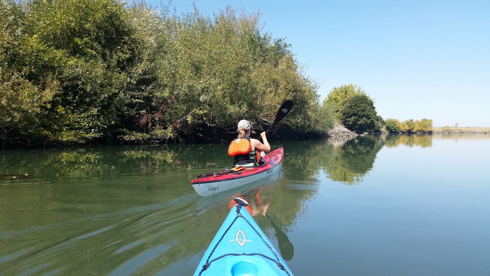 Kayaking the California Delta South Fork Mokelumne River