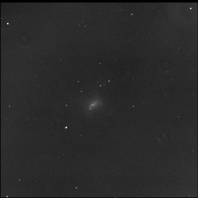 RASC Finest galaxy NGC 4214 in luminance