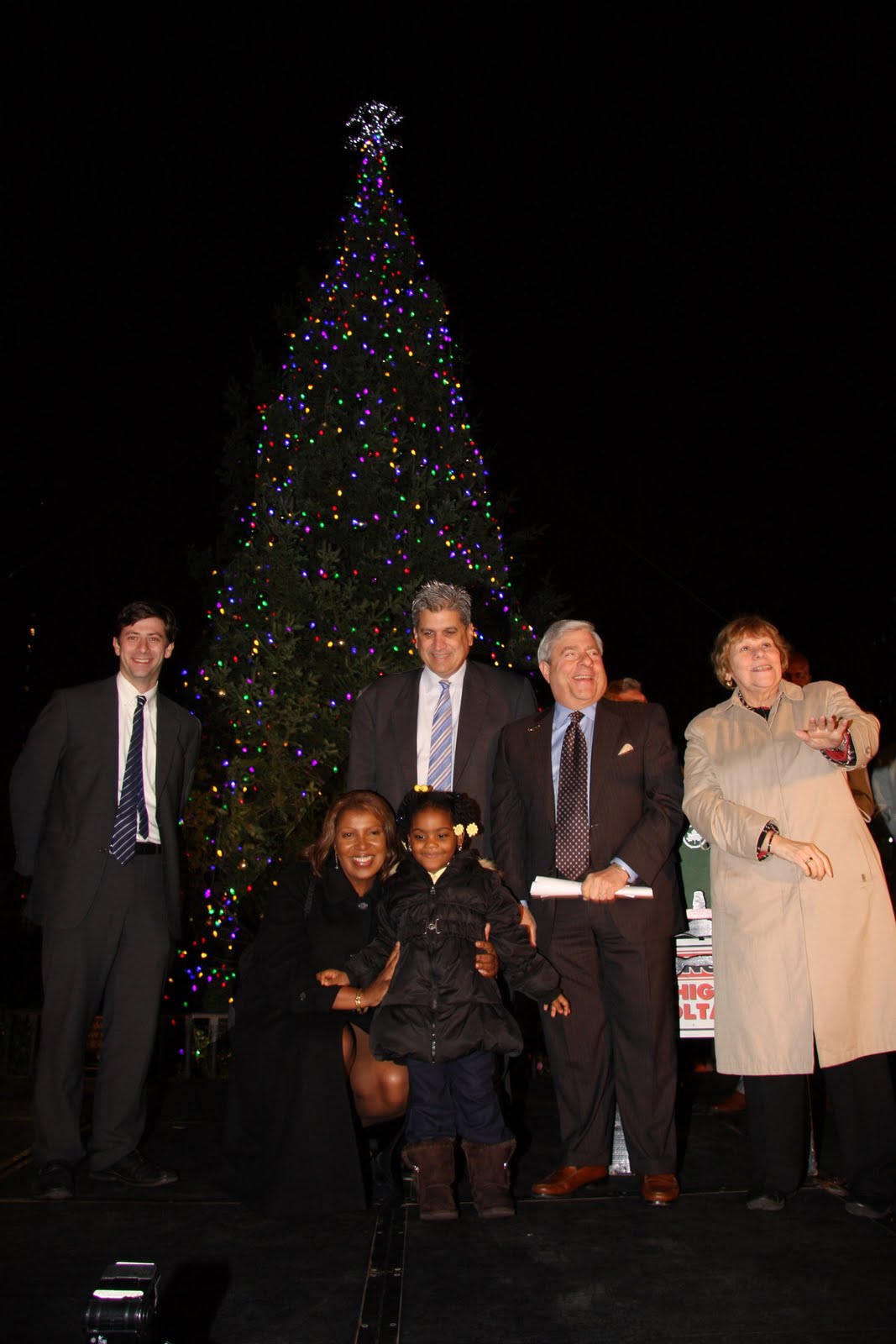 mcbrooklyn 40Foot Christmas Tree Lights Up Brooklyn Borough Hall