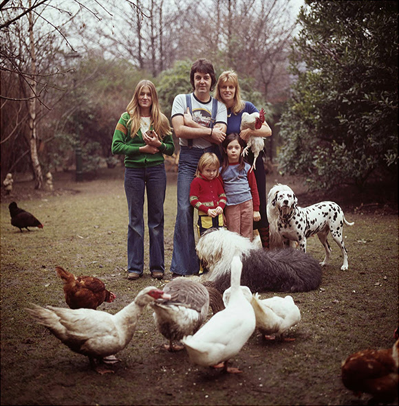 Paul McCartney : l'histoire végétarienne d'un ex-Beatle