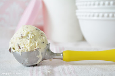 Vanilla Bean Chocolate Chip Ice Cream Vanilla Bean Chocolate Chip Ice Cream