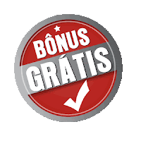 bônus grátis do curso academia do importador bônus grátis