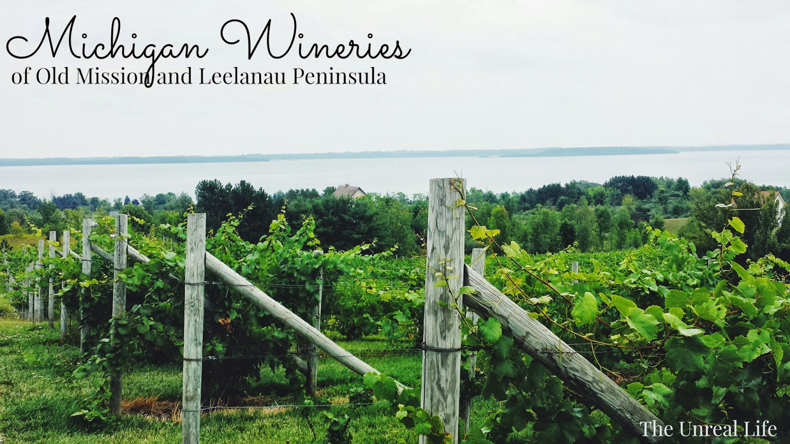 The Unreal Life Michigan Wineries To Visit