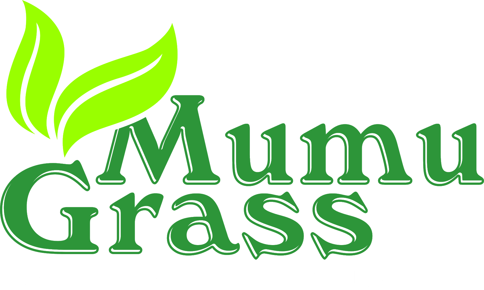 Toko Rumput Sintetis Mumu Grass