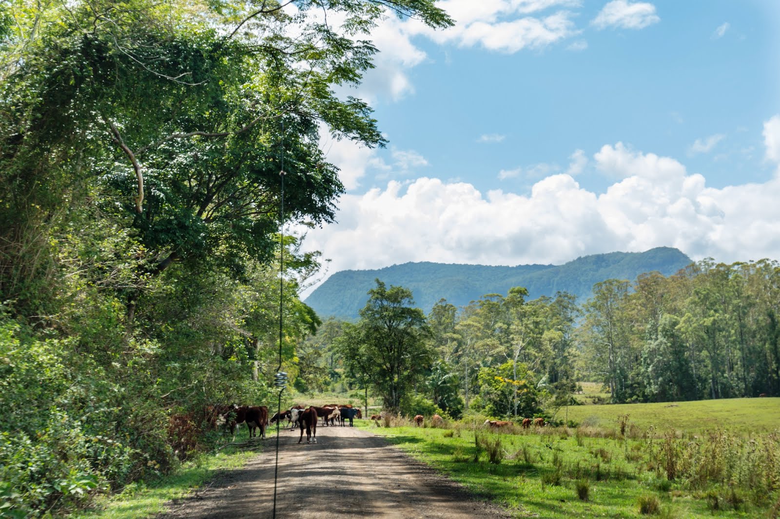 National Park Odyssey Lions Road and Border Loop Section of Border