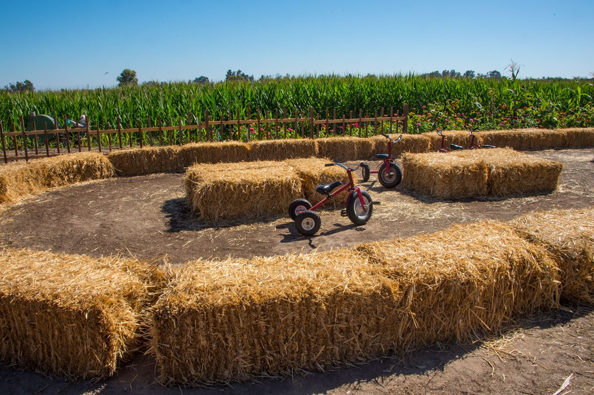 Kissack Adventures Hunter Farms Pumpkin Patch