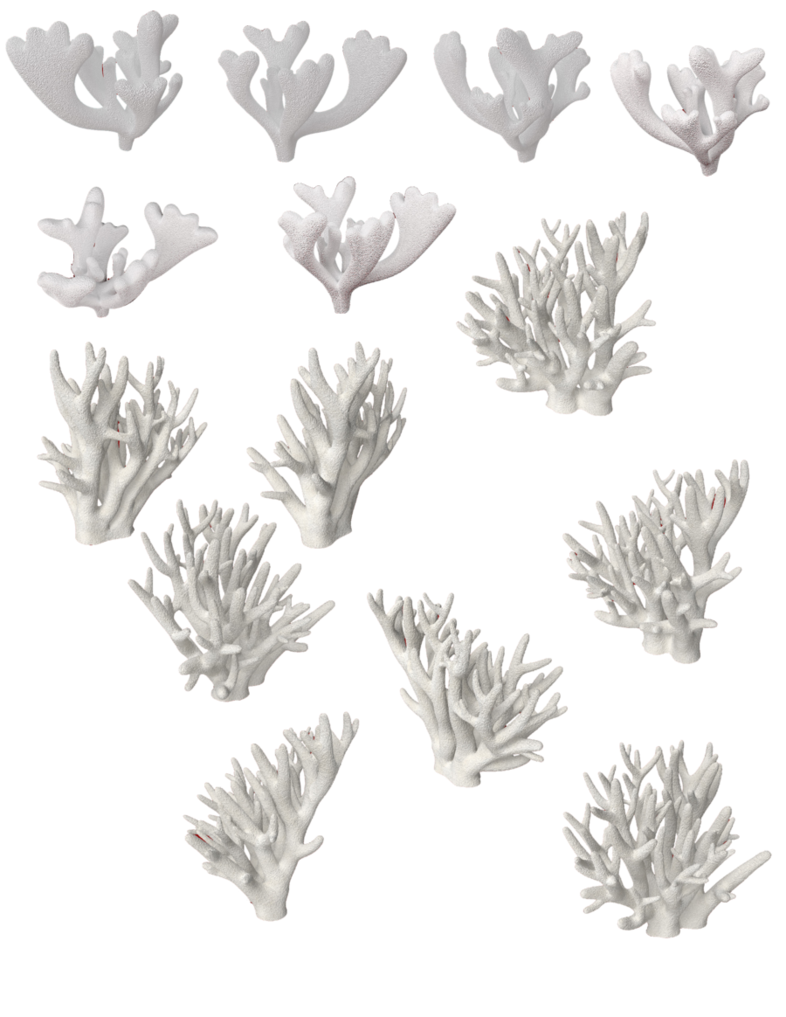 Блог Колибри: PNG КЛИПАРТ КОРАЛЛЫ