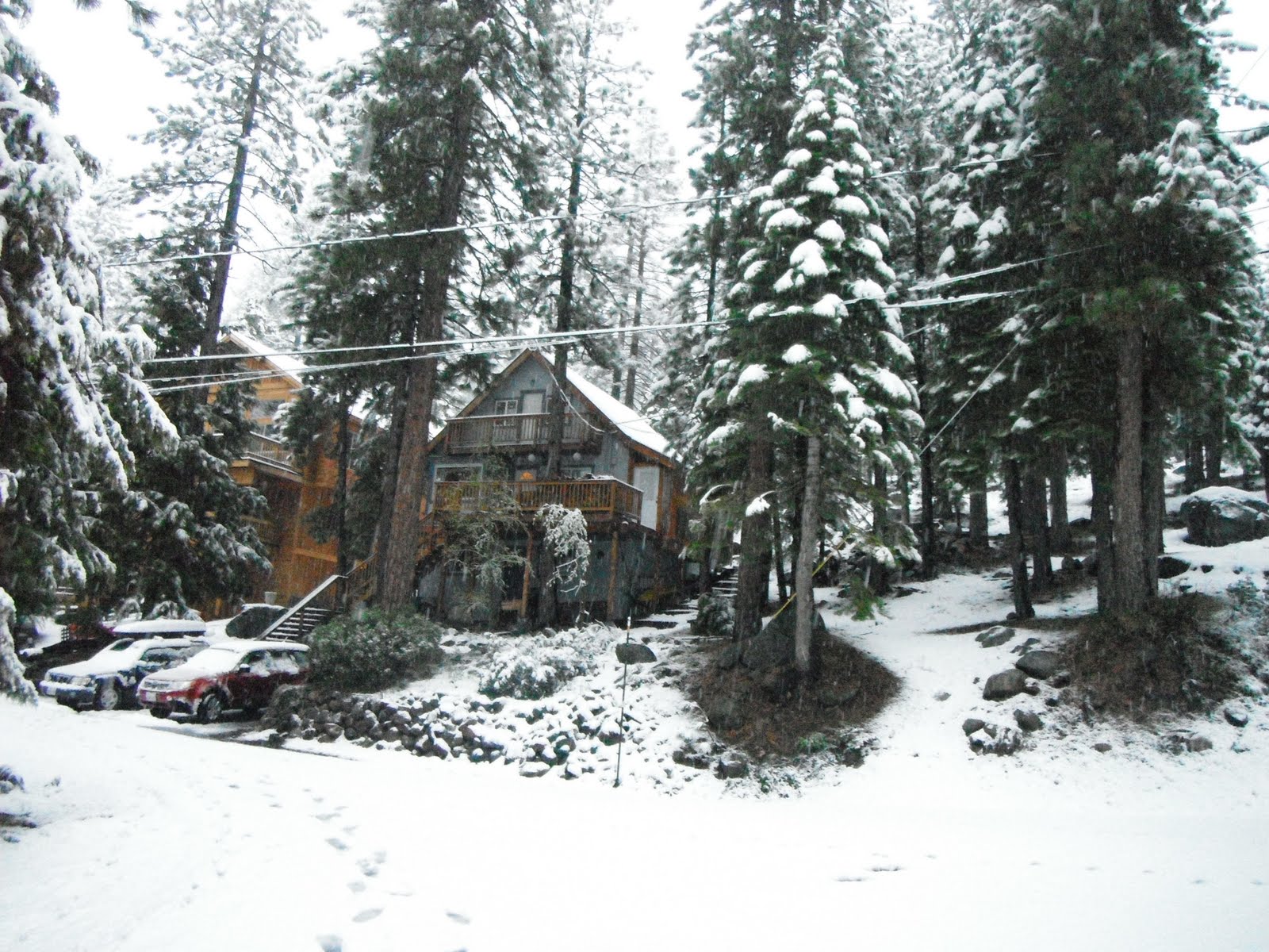 Daily Adventures For the Love of Reno