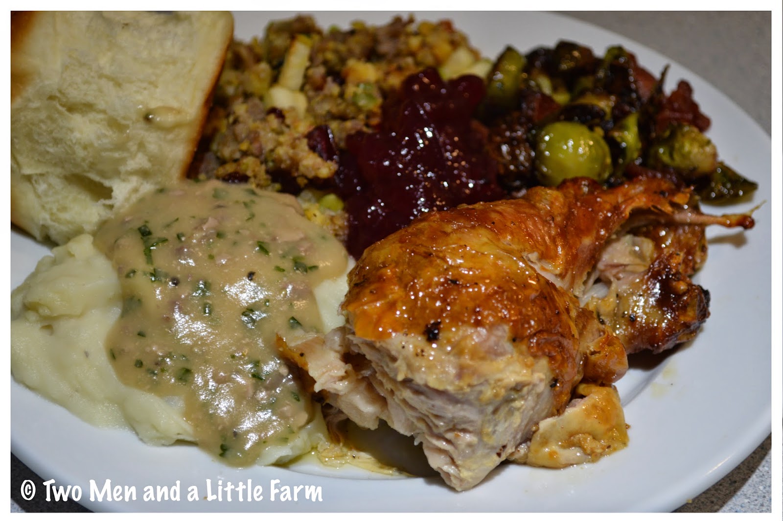 Two Men and a Little Farm: THANKSGIVING DINNER IN PICTURES
