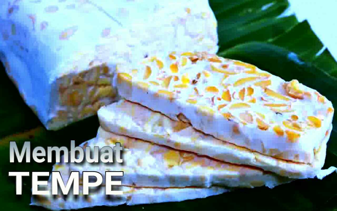 Cara Membuat Tempe + Manfaat Makan Tempe Bagi Kesehatan