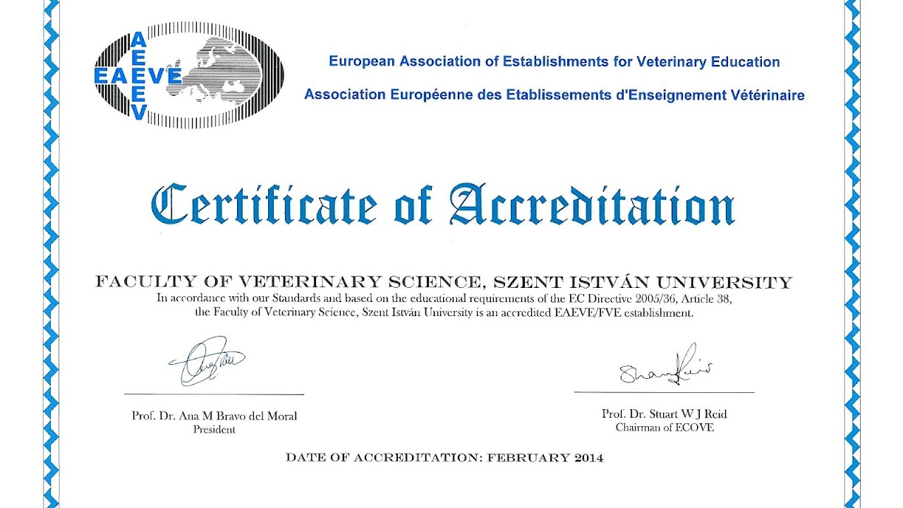 Education Required For A Veterinarian Education Choices