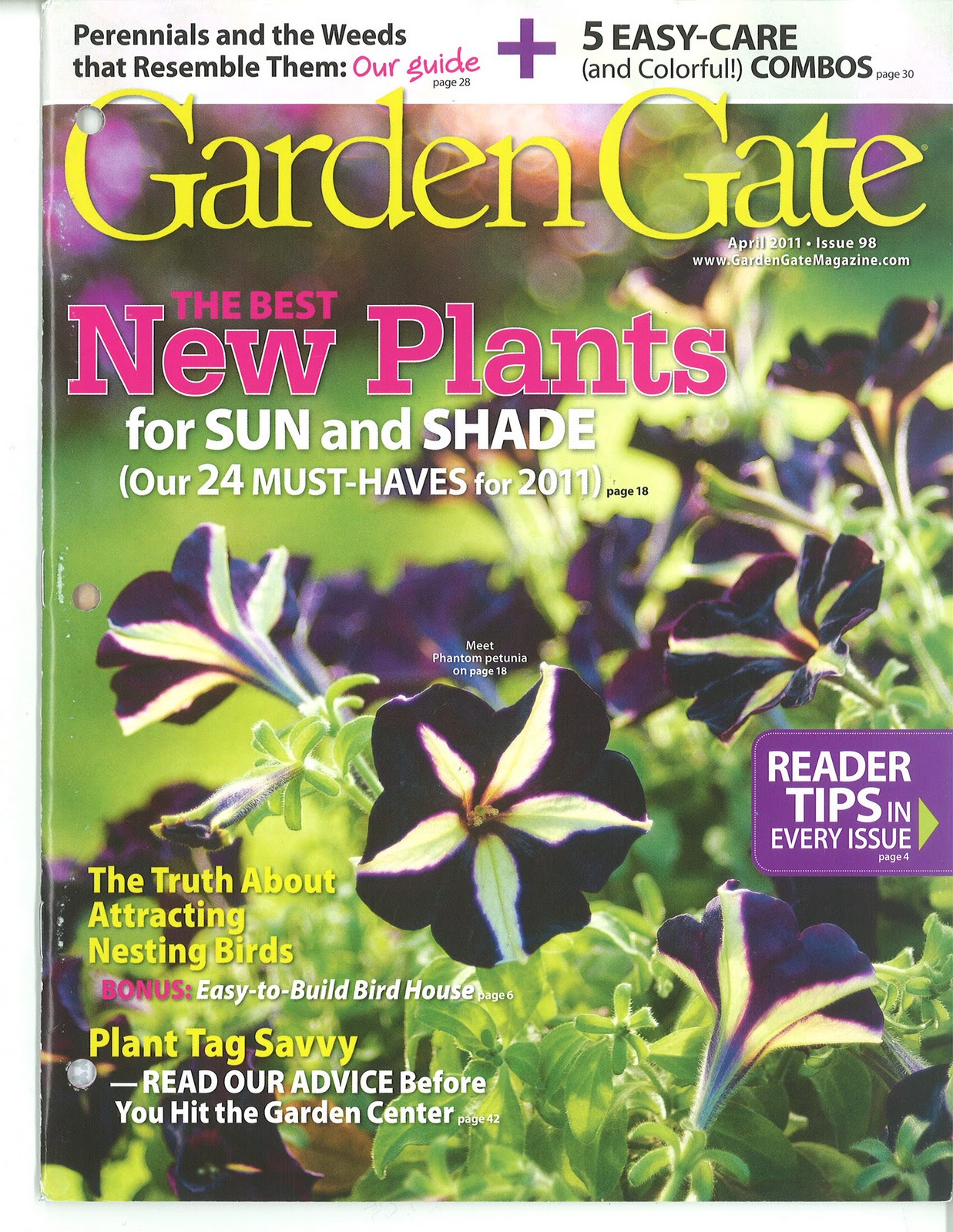 garden gate magazine plans