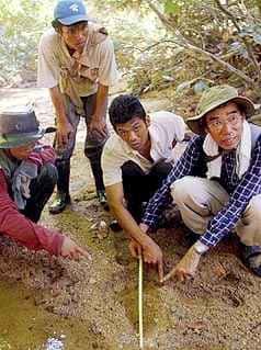 JOHOR AMAZING STORIES Sightings Of Bigfoot