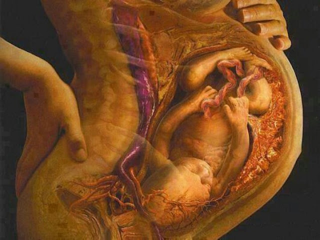 Ibu Hamil Baca 4 Doa Ini, Insya Allah Bayi Selamat dan Dikaruniai Anak Sholeh