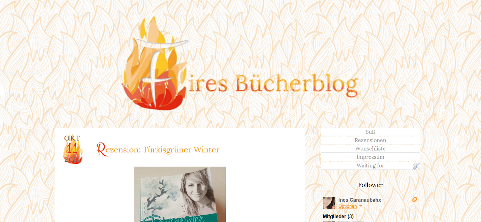 http://lady-firesbuchblog.blogspot.de/